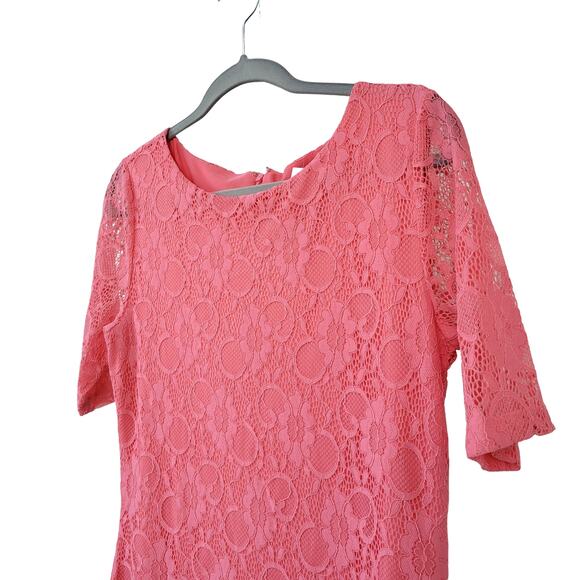 Preston & York Penny Knit Dress Pink Lace Short Sleeve Sheath Dress Women Sz S - Picture 3 of 7